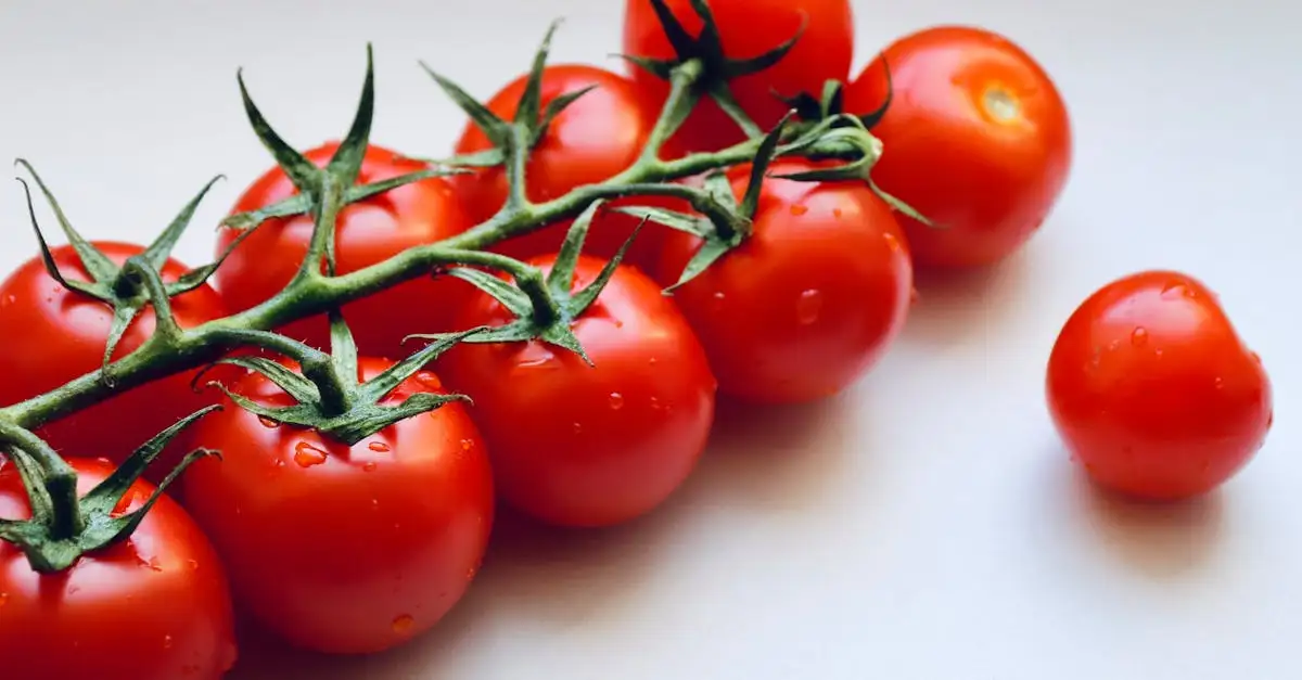 Anti oxidanten voeding