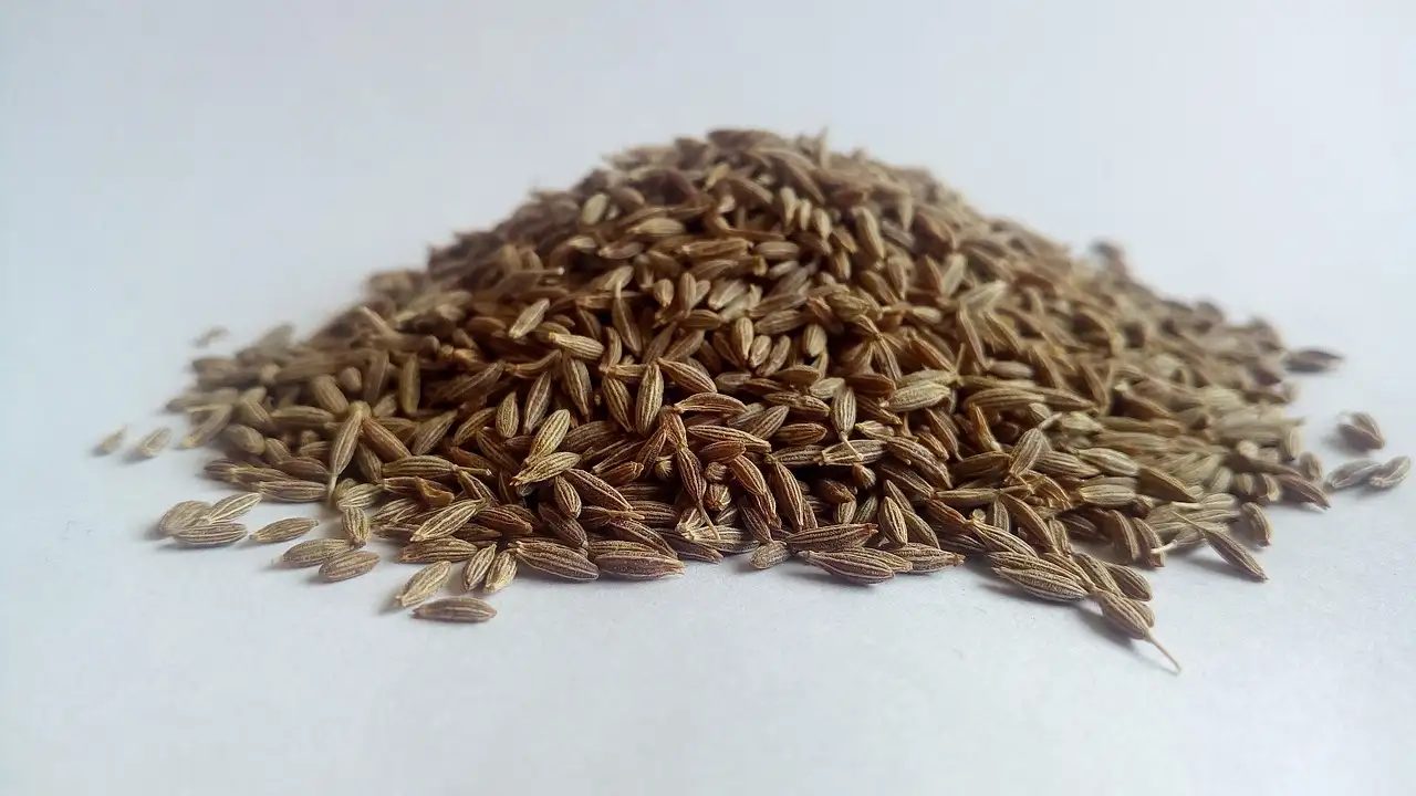 Voeding ayurveda