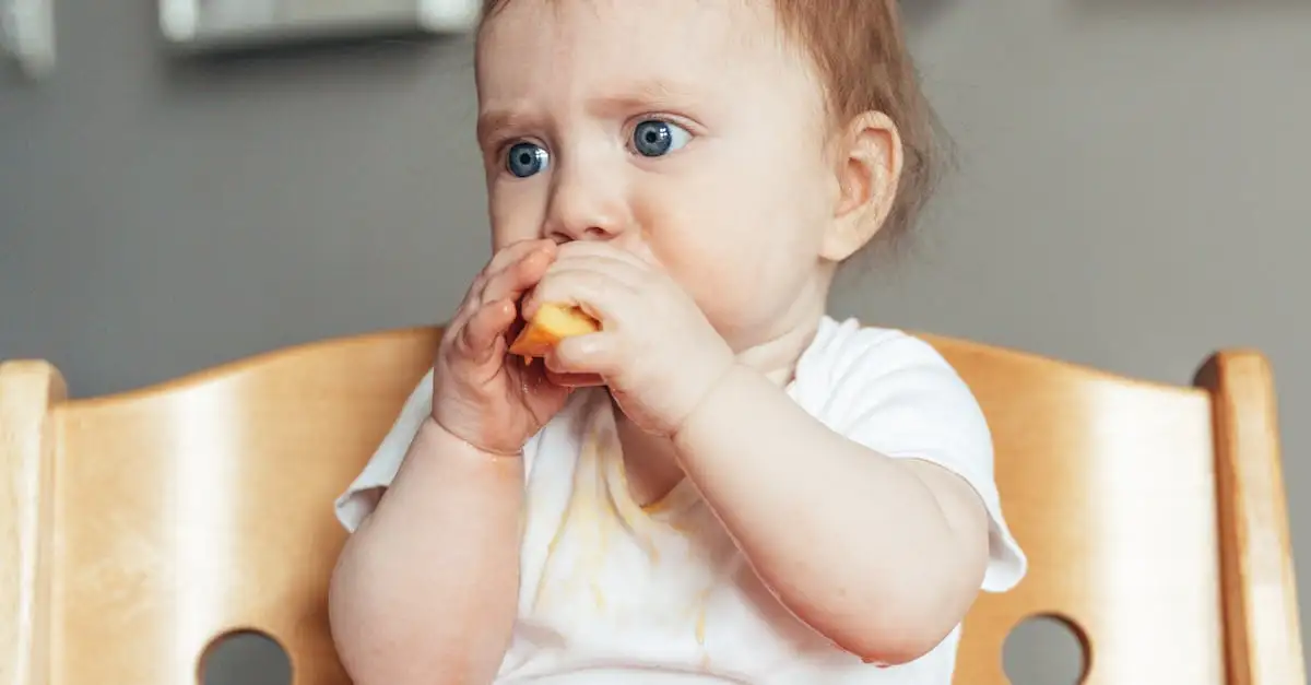 Voedingsschema baby 5 maanden: hoeveel voeding per dag?