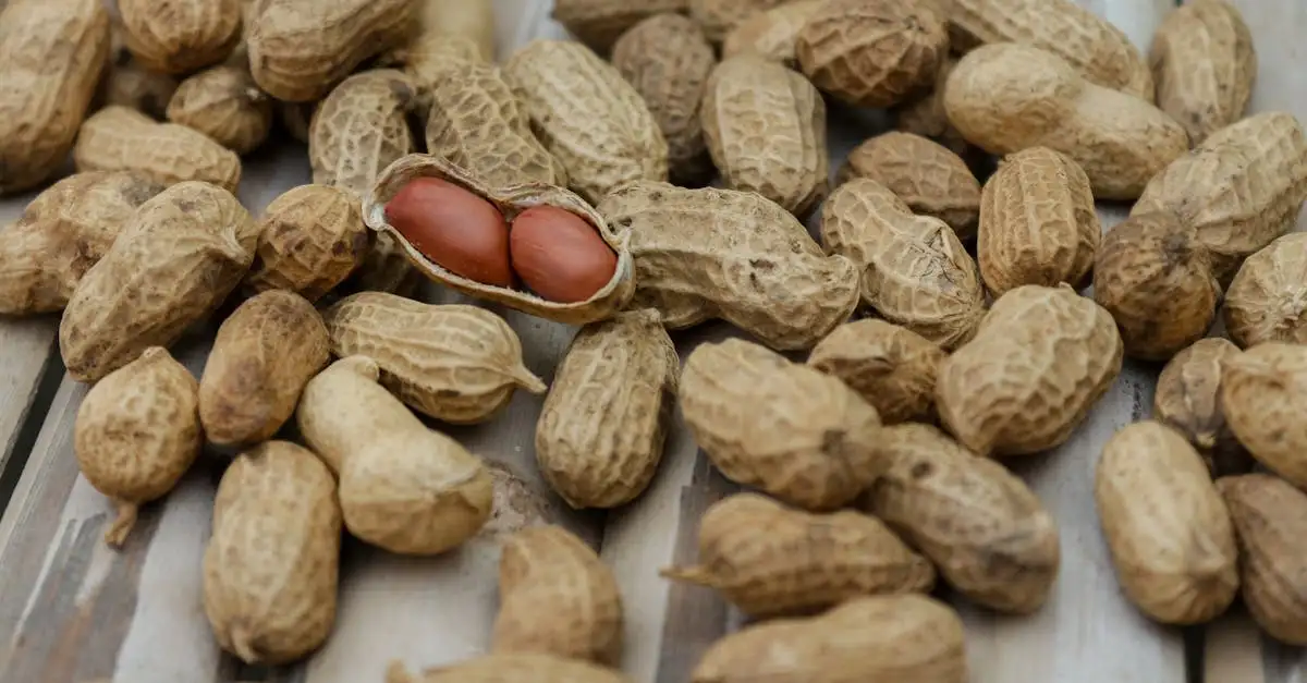 Bultjes bovenarm voeding