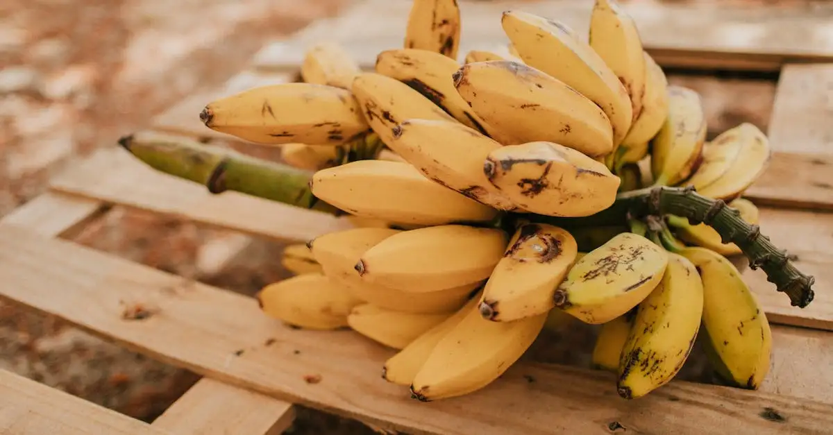 B6 vitamine voeding