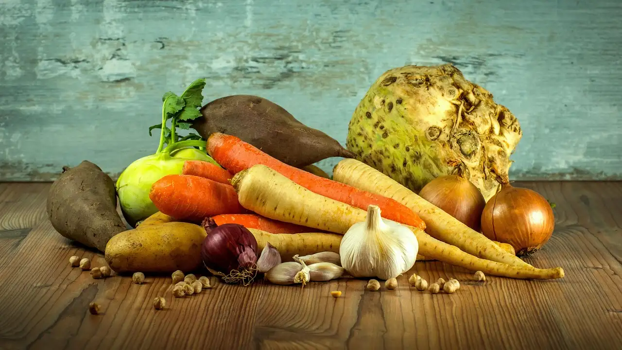 Fit met voeding