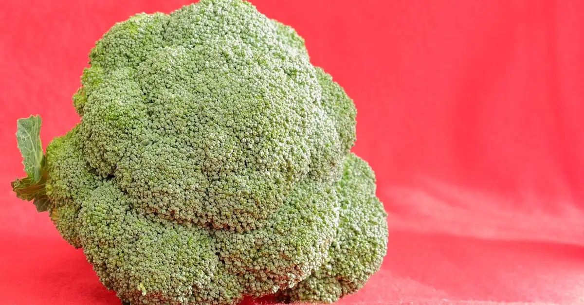 Foliumzuur rijke voeding voor een gezonde levensstijl