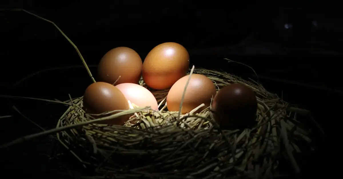 Gaba voeding: wat is het en hoe werkt het?