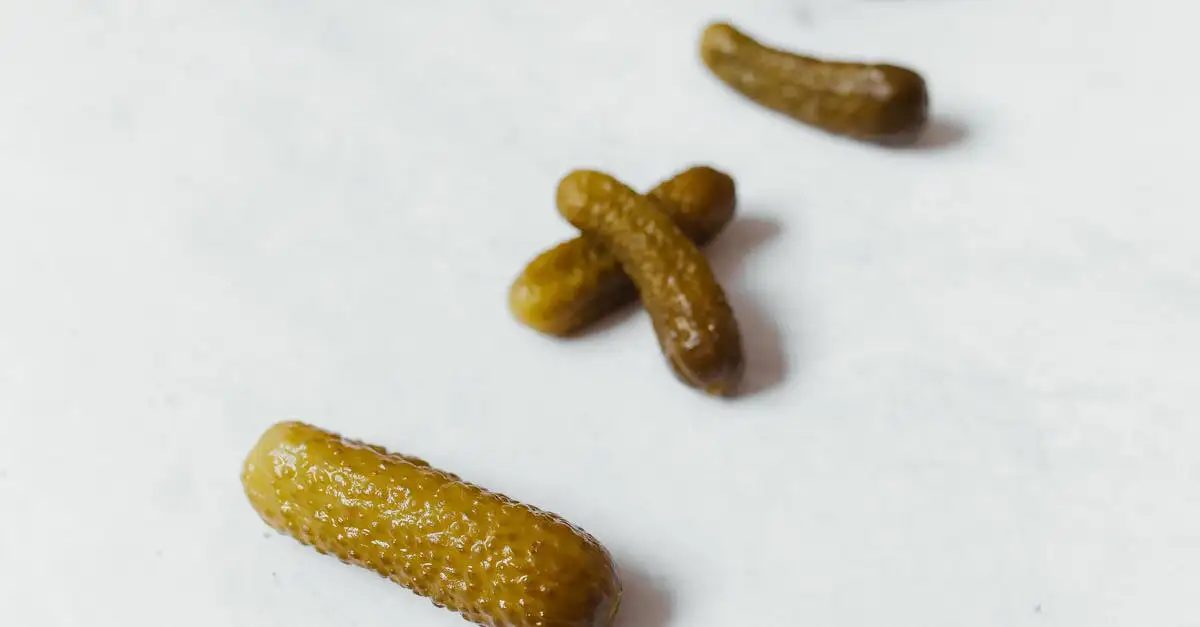 Gefermenteerde voeding