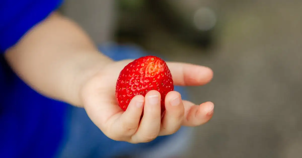 Afvallen met gezonde voeding