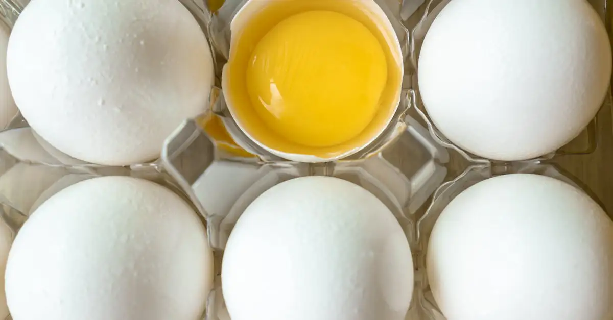 Voeding: zo verhoog je op natuurlijke wijze je HDL-cholesterol.