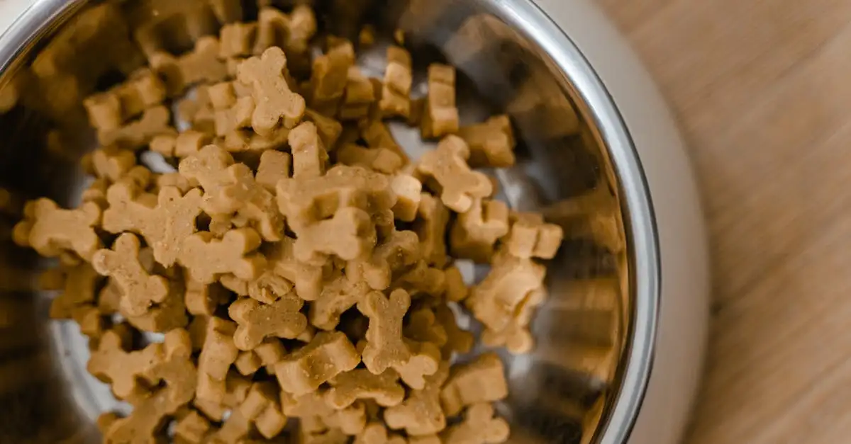 Hypoallergene voeding voor honden