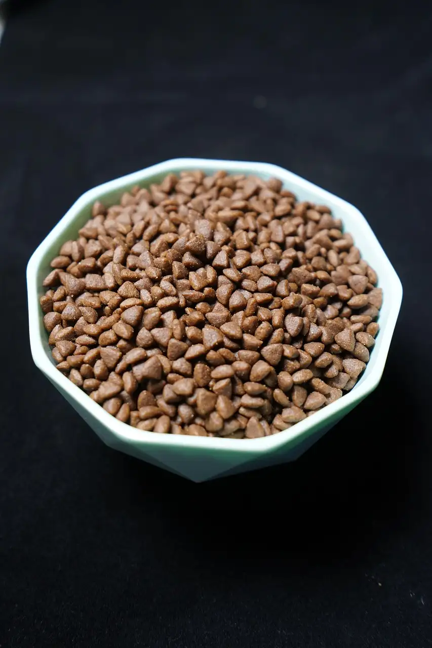 Voeding voor katten met blaasgruis