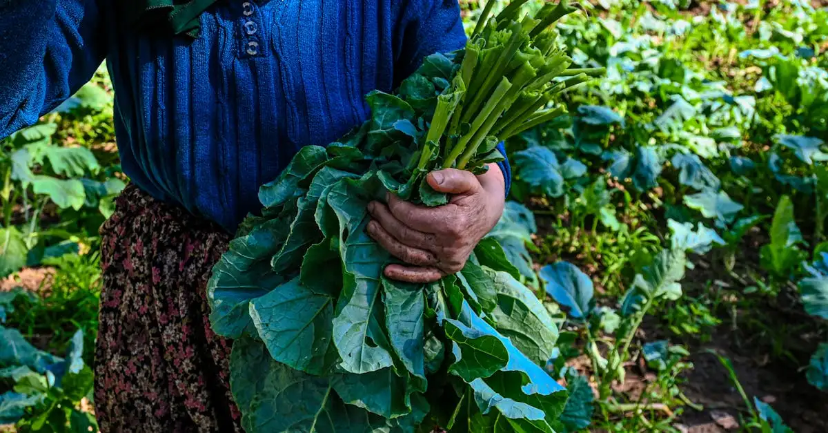 Keurmerken voeding: Ontdek de betrouwbare keurmerken
