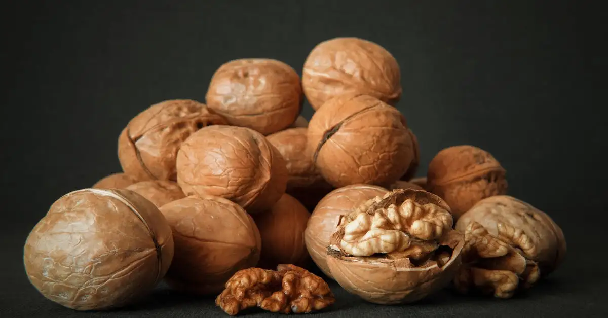 Welke voeding bevat magnesium