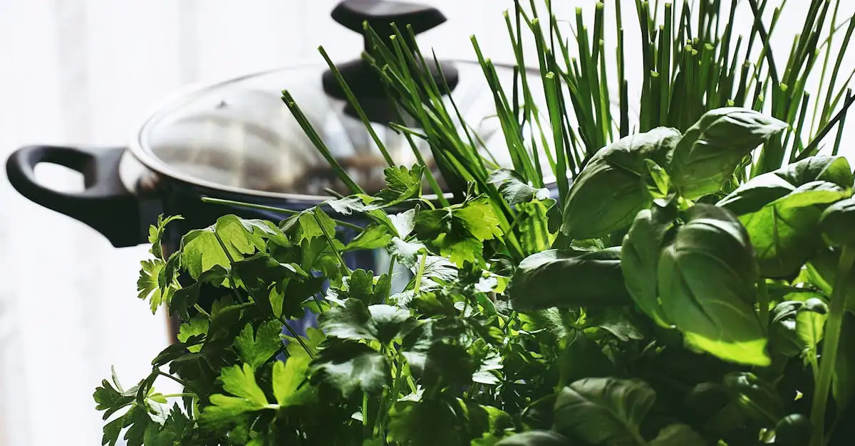 Mediterrane planten voeding