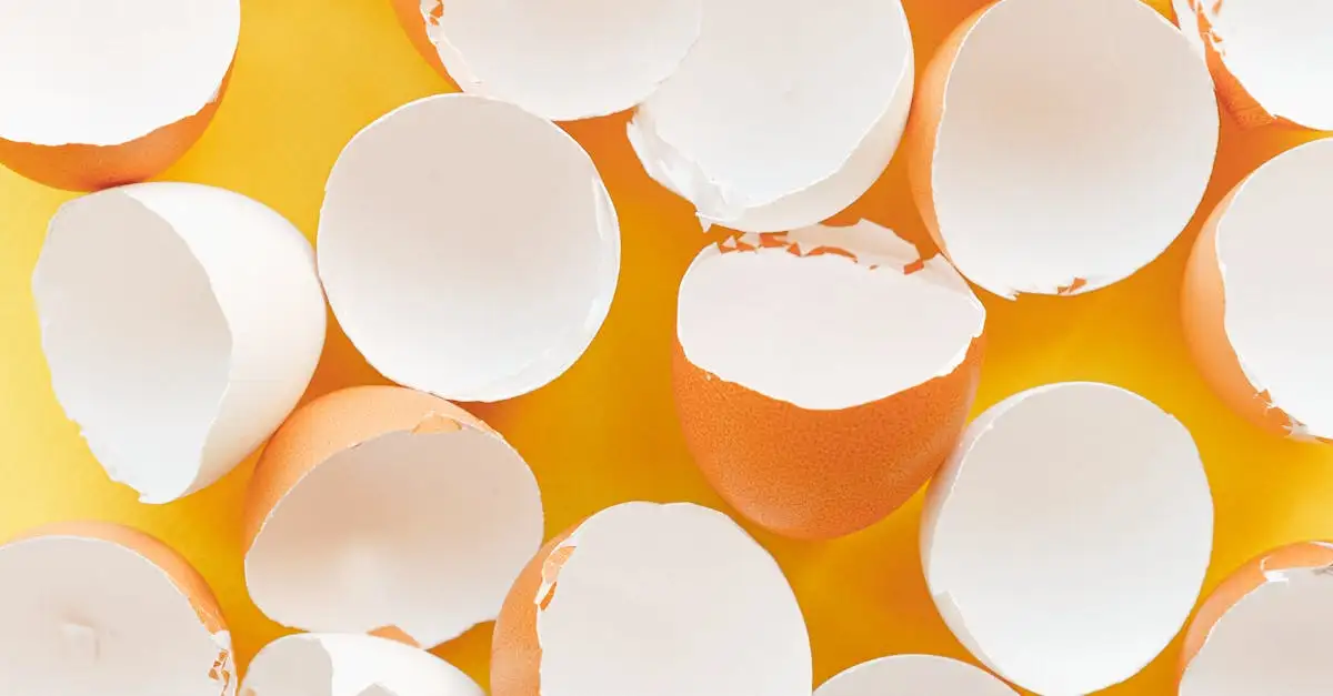 Voeding met de meeste eiwitten: ontdek de beste bronnen