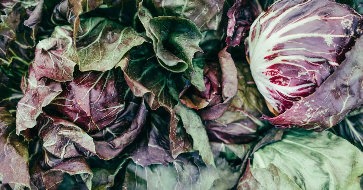 Pesticiden in voeding