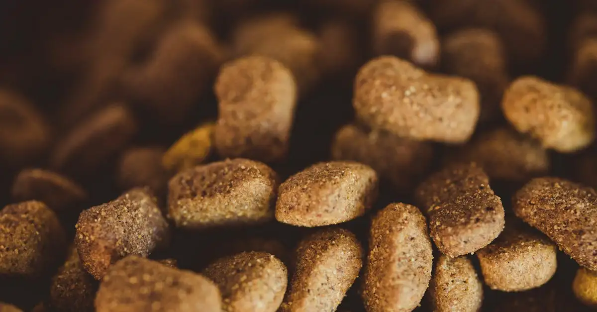 Vezelrijke voeding voor katten: waarom het belangrijk is
