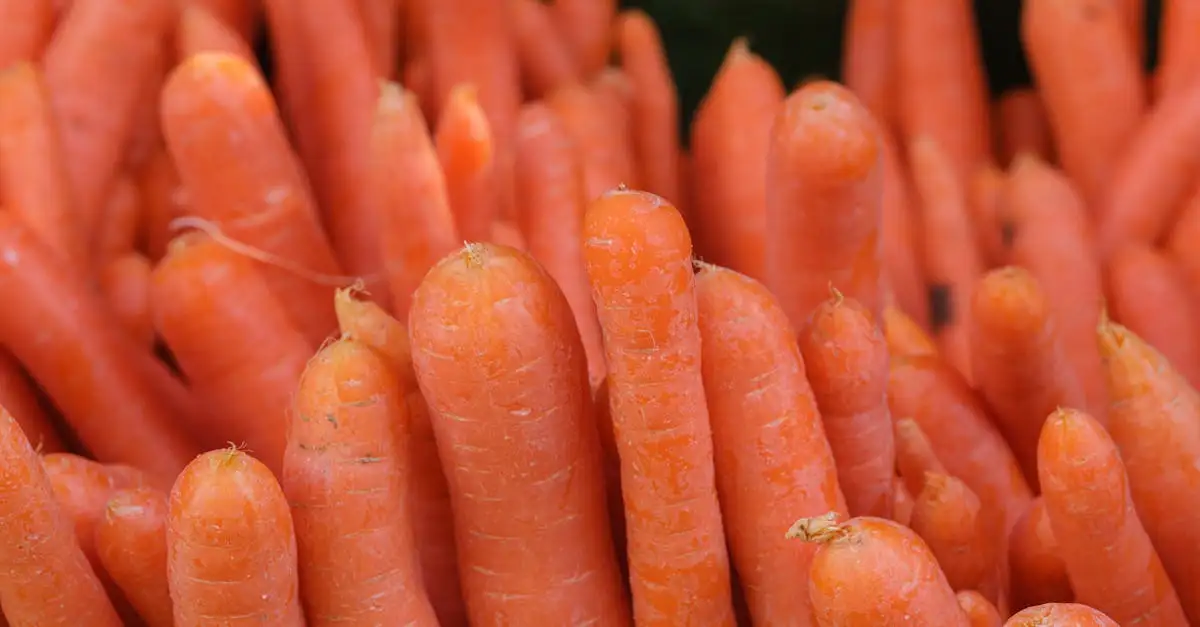 Vitamine a in voeding
