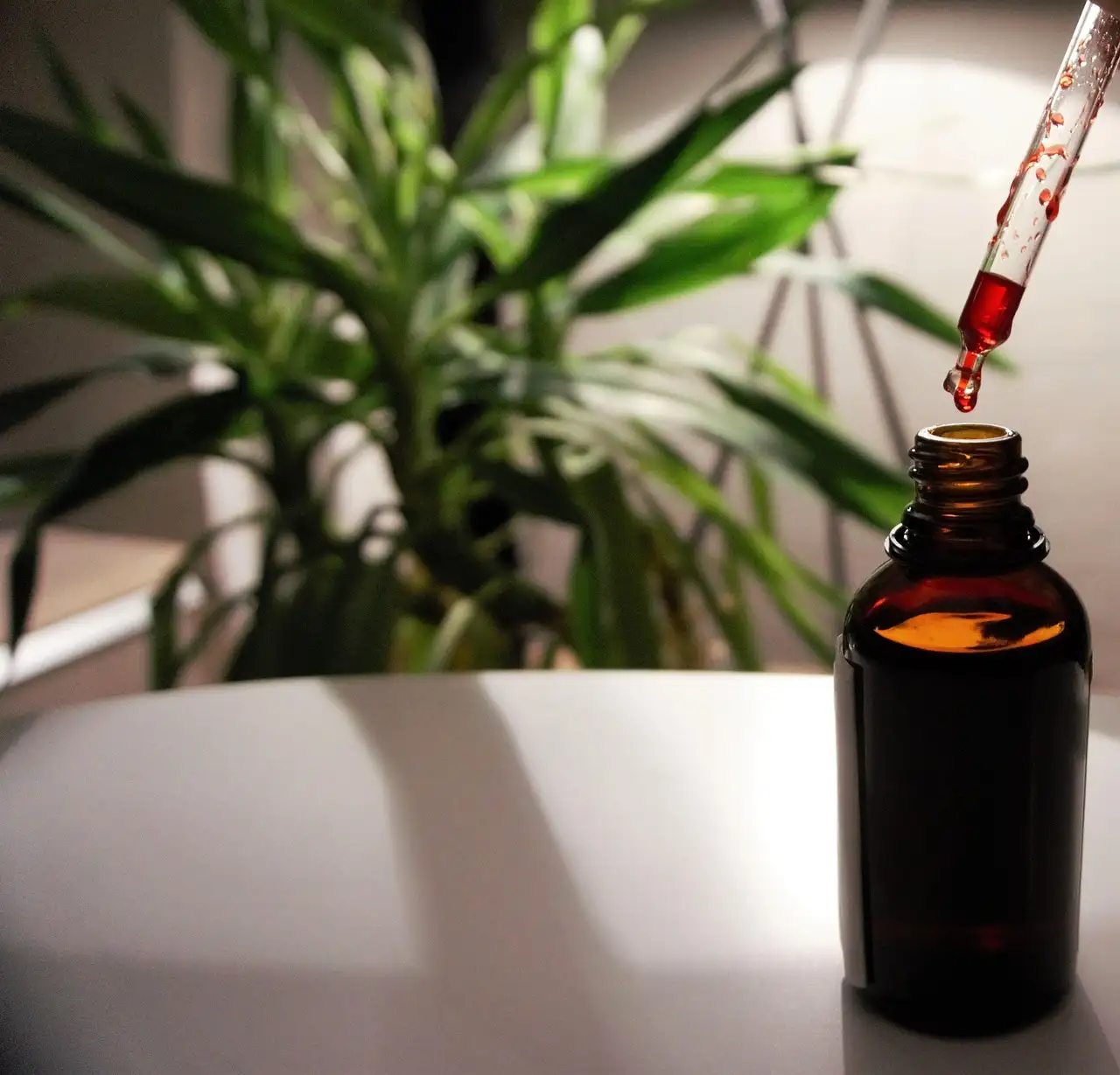 Voeding waar vitamine b12 in zit
