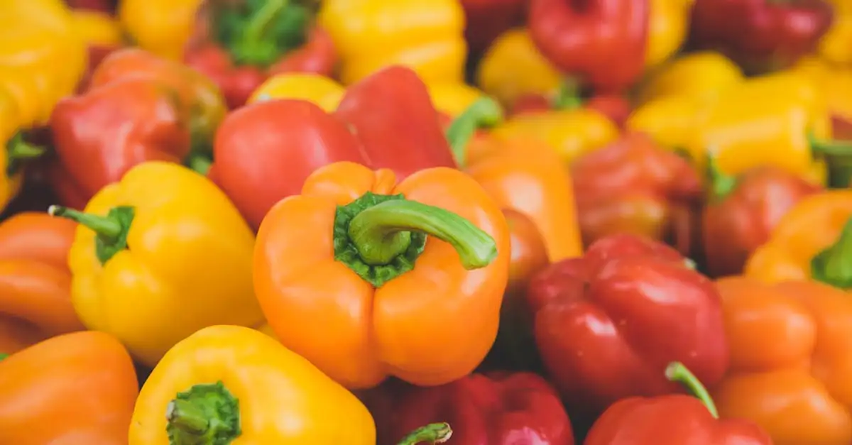 Voeding en concentratie: tips voor betere focus