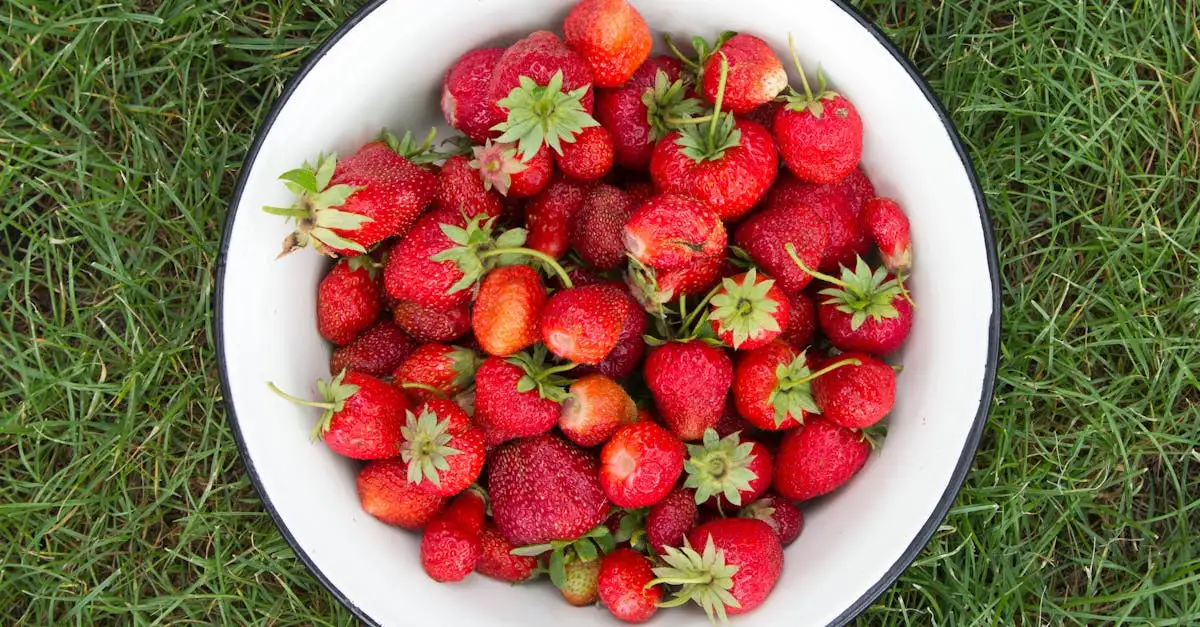 Voeding en gezondheid
