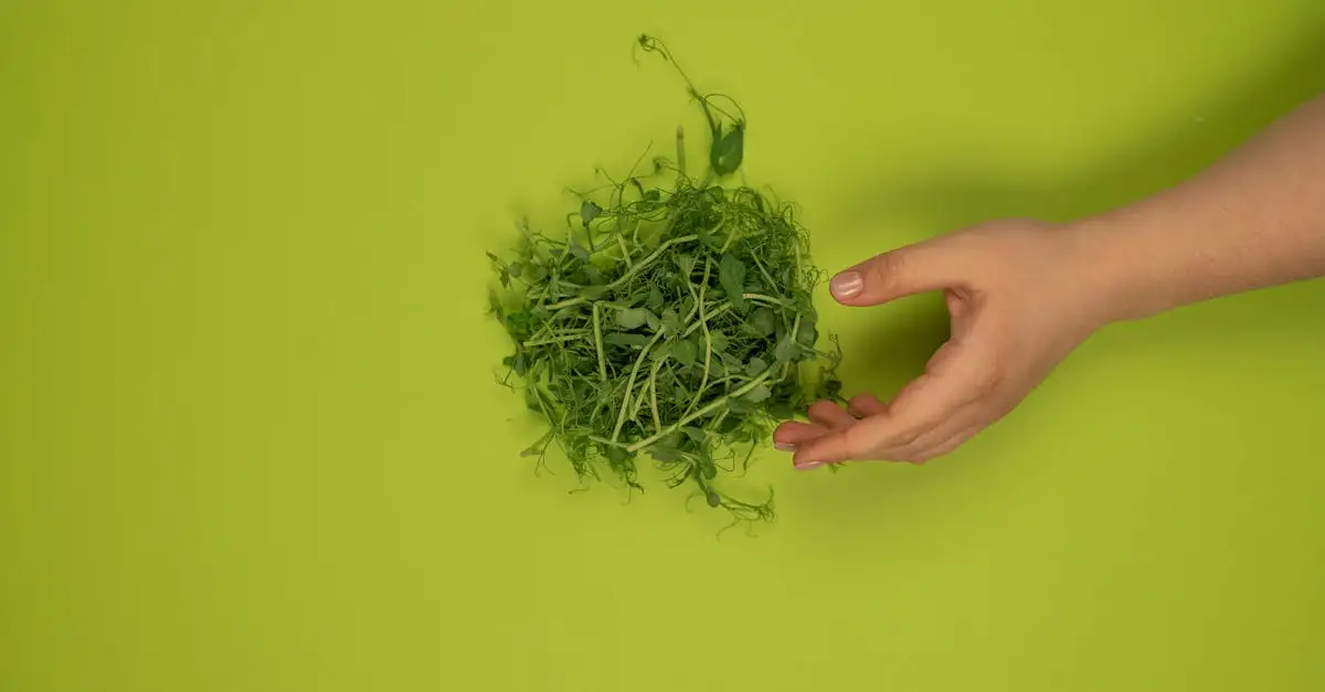 Voeding modulair: flexibele en complete voedingsoplossingen