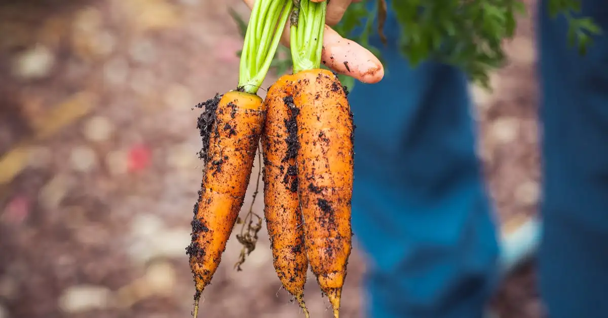 Voeding moestuin