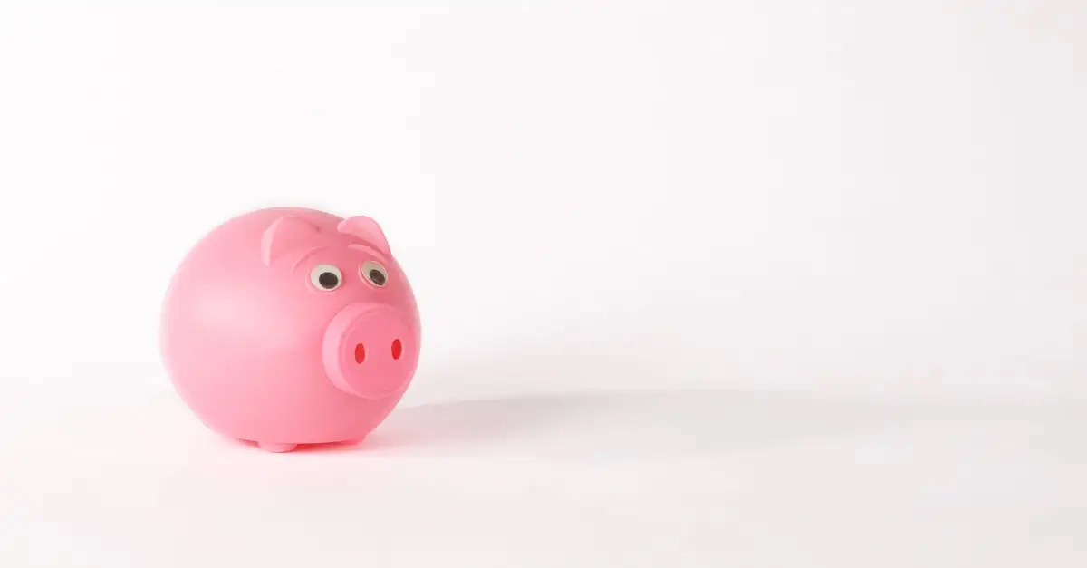 Voeding op maat: Persoonlijk voedingsadvies voor uw doelen