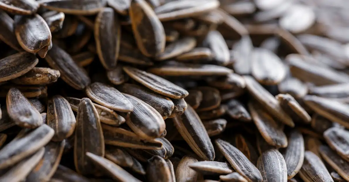 Voeding rijk aan magnesium: Essentiële bronnen en voordelen